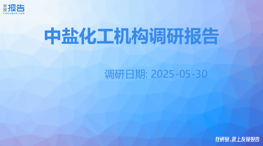 中盐化工机构调研纪要
